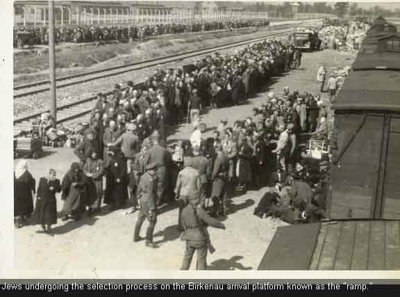 Auschwitz camp